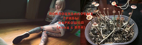 герыч Абаза