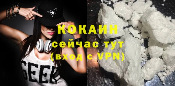 прущие грибы Абинск