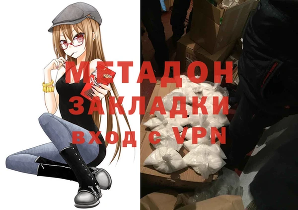 прущие грибы Абинск