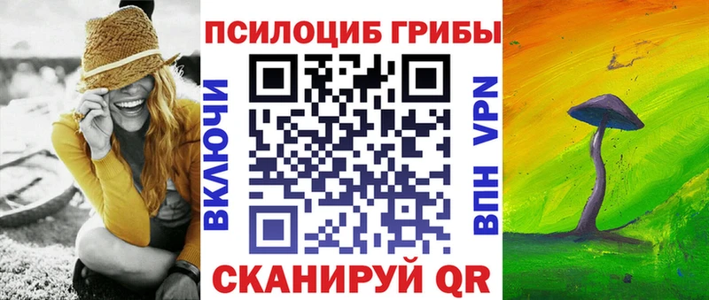 blacksprut маркетплейс Шенкурск Галлюциногенные грибы Magic Shrooms где можно купить наркотик