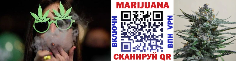 Бошки Шишки план  Шенкурск 